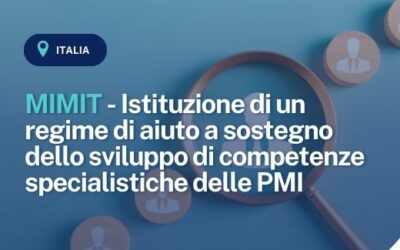 MIMIT – Istituzione di un regime di aiuto a sostegno dello sviluppo di competenze specialistiche delle PMI