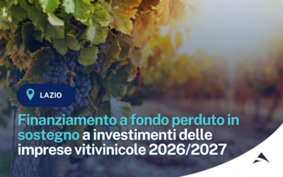 OCM Vino – Misura Investimenti. Finanziamento a fondo perduto in sostegno a investimenti delle imprese vitivinicole. Campagna 2026/2027.