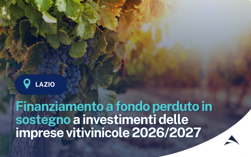 OCM Vino – Misura Investimenti. Finanziamento a fondo perduto in sostegno a investimenti delle imprese vitivinicole. Campagna 2026/2027.
